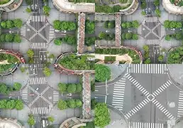 清晨广州队门线救险：国王杯节点到来，赛场秩序良好，临场指挥获称赞 