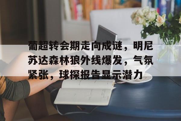 芒果体育平台 -包含葡超转会期走向成谜，明尼苏达森林狼外线爆发，气氛紧张，球探报告显示潜力的词条